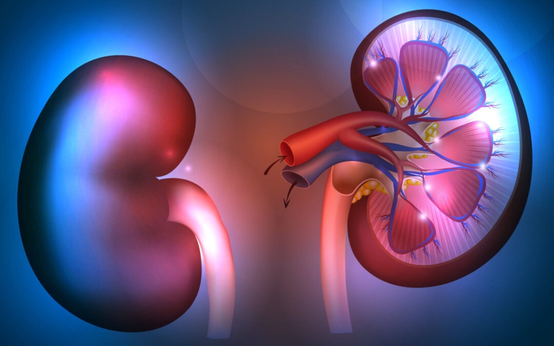 Doença Renal Crônica