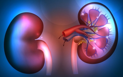 Doença Renal Crônica